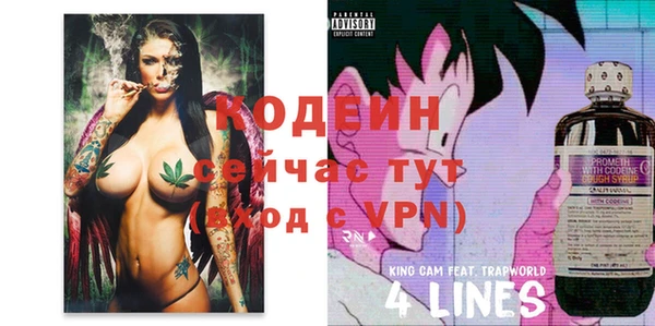 прущий лед Няндома